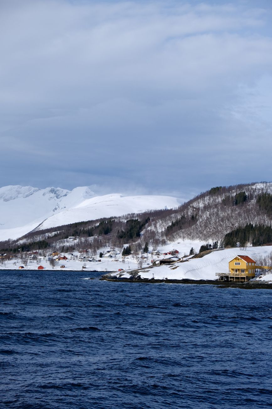 Remote Nordic fjord coastline