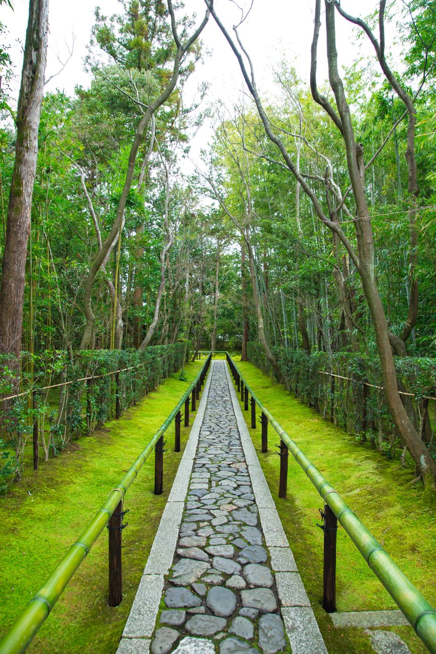 Traditional Japanese wooden temple garden